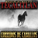 Mariachi Nuevo Tecalitlan - El Caballo Blanco