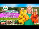 Агрофирма Сибирский сад - О сортах и семенах Сибирского сада Лучшие урожайные сибирские…