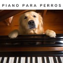 Piano for Dogs - Музика за псе
