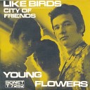 Young Flowers - City Of Friends Bonus track