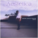 Aestetica - Shallow Waters