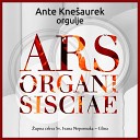 Ante Kne aurek - J S Bach Prelude and Fugue in D minor BWV 539