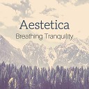 Aestetica - Peace Is in You