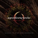 A Perfect Circle - Peace Love and Understanding Live