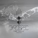 BardSpec feat Ivar Bj rnson Steve Austin Iver Sand… - Fire Tongue Radio Edit