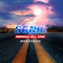 The Marcus Hedges Trend Orchestra - Emerald Hill Zone From Sonic the Hedgehog 2…