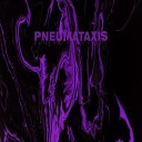Pneumataxis - Все останется как есть