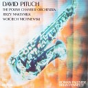 David Pituch Polish Chamber Orchestra Wojciech… - Concerto 1984 3rd Movement Arietta Remastered