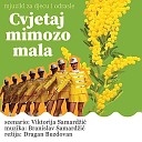 Ana Ozegovic - Princ od mimoze