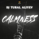DJ Tural Aliyev - Calmness