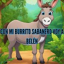 Los Incate os Julio Miguel - Con Mi Burrito Sabanero Voy a Bel n