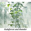 SOUNDS FOR SLEEPING - Rainforest and Thunder Pt 31