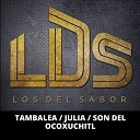 Los Del Sabor LDS - Tambalea Julia Son del Ocoxuchitl
