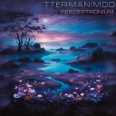 ttermanimdd - On the Verge of Singularity