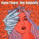 Ben Goldstein - Home Flower Instrumental Version