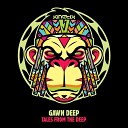 Gawn Deep Transforma - Champion Transforma Remix