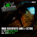 Mad Scientists L Ectric - Where Are You