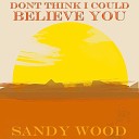 Sandy Wood - Drunk and Incapable