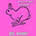 Big Bunny - Come Here Girl