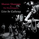 Sharon Shannon The Woodchoppers - Fire in the Bellies The Air Tune The Road to Recovery Farewell to Chernobyl…