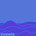 XOSMOS - Navy Summer