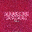 Moonshine Ensemble - The Entity