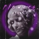 ATANA PURPLE - Flowers