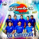 La Sombra Musical - El Palomito