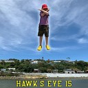 Hawk s Eye 15 - Brain in the Rain