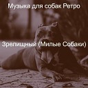 Музыка для собак Ретро - Звуки Собаки