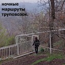 ночные маршруты… - Лес