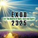 xod 2325 - I will take away sickness from among you Worship the Lord Your God And His Blessing Will Be on Your Food and…