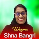 Wagma - Janana Bakhtawara