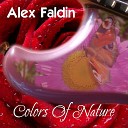 Alex Faldin - Funky Curves