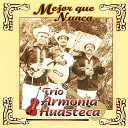 Trio Armonia Huasteca - El Hidalguense