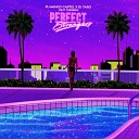 Flamingo Cartel DJ Taro feat thir13een - Perfect Strangers