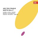 Ars Trio Prague Wolfgang Amadeus Mozart - Piano Trio No 2 in E Minor Op 67 I Andante Moderato Poco piu…