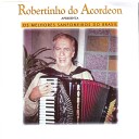 Robertinho do Acordeon - Choro Sem D