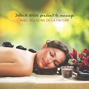 Relaxation mentale - Joie pure