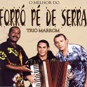 Trio Marrom - Forr de P de Serra