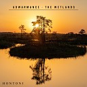 Hontoni - Adwarmance The Wetlands