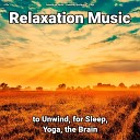 Relaxation Music Relaxing Spa Music Yoga - Relaxation Music Pt 67