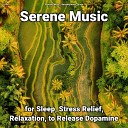 Peaceful Music Relaxing Music Yoga - Serene Music Pt 5