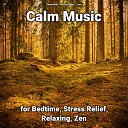 Sleep Music Relaxing Music Yoga - Relaxation Music Pt 20