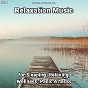 Slow Music Relaxing Music Yoga - Relaxation Music Pt 67