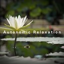Relaxing BGM Project - A Soul of Calm