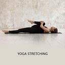 Meditation Yoga Music Masters - Feel the Flexibility