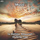 Peaceful Music Relaxing Music Yoga - Relaxation Music Pt 5