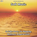 Calm Music Relaxing Music Yoga - Soft Music Pt 11