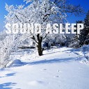 Elijah Wagner - Winter Frosted Garden Wind Ambience Pt 1